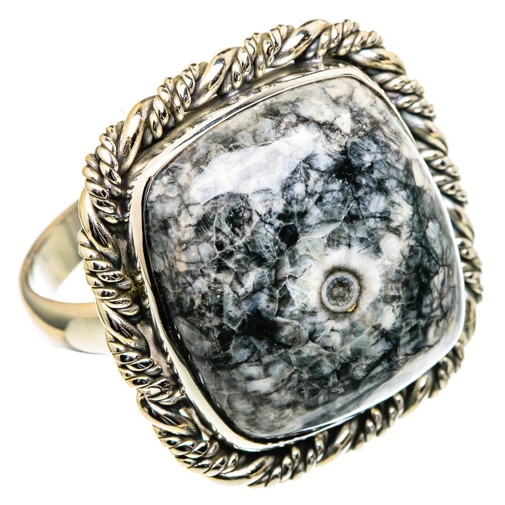 Large oval goniatite fossil ring with ornate silver rope border and black-and-white stone.