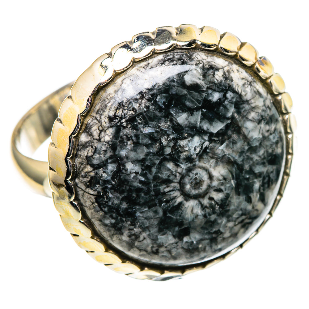 Moroccan Goniatite Fossil Rings handcrafted by Ana Silver Co - RING99146 - Photo 2