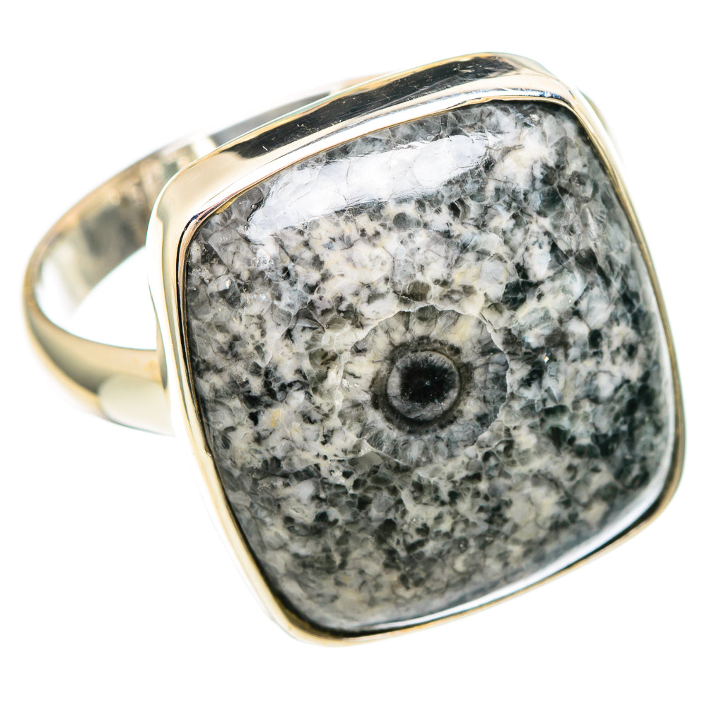 Moroccan Goniatite Fossil Rings handcrafted by Ana Silver Co - RING99312 - Photo 2