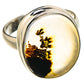 Scenic Dendritic Agate Ring Size 8 (925 Sterling Silver) RING134580
